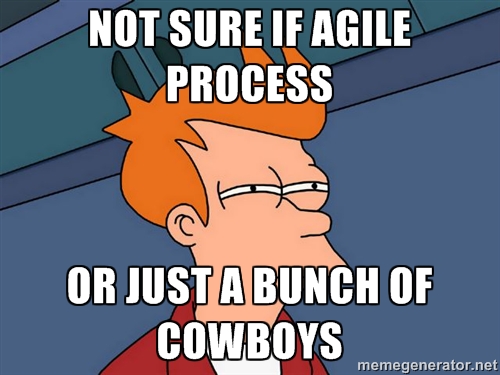 agile process meme